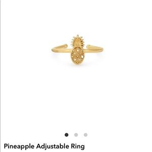 ✨Alex and Ani ✨ Pineapple 🍍 Ring ✨